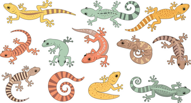 Cute Gecko Lizard Character Set with Crawling and Climbing Poses, Colorful Patterns and Tropical Reptile Cartoon Vector Illustration Collection for Nature Designs.