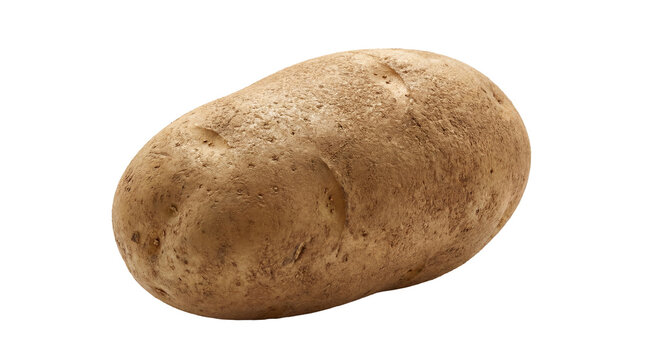 A single fresh, earthy russet potato with textured skin, ready for cooking, isolated on a clean, transparent.