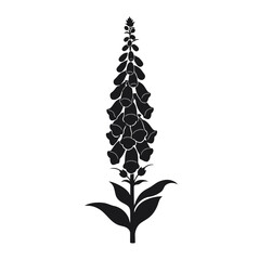 Black Silhouette of a Foxglove Plant. © Aga