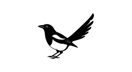Black and White Magpie in Flight.