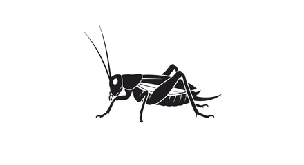 Black and White Grasshopper Illustration Side View.