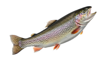 Obraz premium Dynamic photograph of a vibrant rainbow trout leaping from the water, isolated on a transparent background.