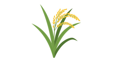 Fototapeta premium Rice Plant Vector Illustration, Agriculture Concept, Food Design, Healthy Eating