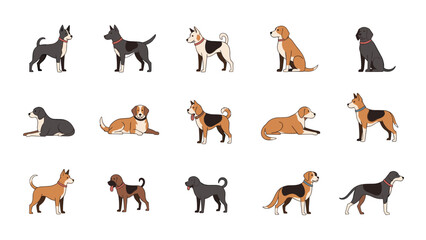 Fototapeta premium Large collection of fifteen diverse dog illustrations in various breeds and positions including sitting standing and lying down.