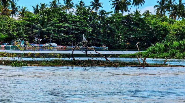 POV shot from a boat during the day in Nilwala Crocodile Safari in Matara, Sri Lanka, Southern Province