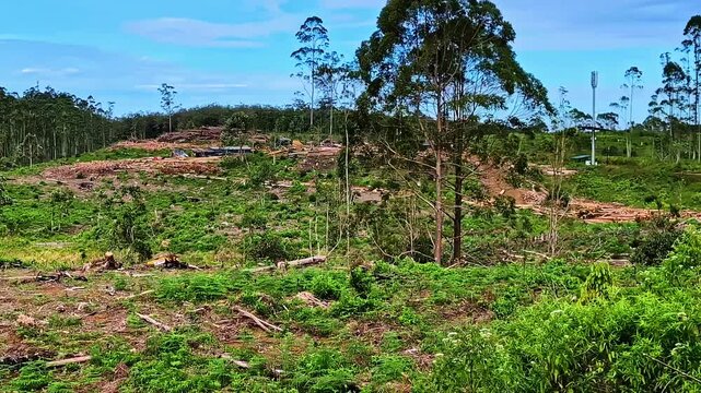 POV shot from the train from Ella to Kandy of forest with cut trees during the day in Badulla District of Uva Province, Sri Lanka