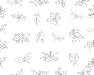 Mint leaves seamless pattern. Herbal mint foliage background. Fresh mint botanical repeat pattern. Aromatic herb leaves texture. Green culinary ingredient pattern. Natural herbal foliage wallpaper. © Ani