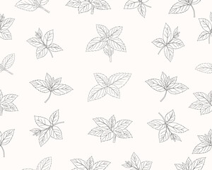 Mint leaves seamless pattern. Herbal mint foliage background. Fresh mint botanical repeat pattern. Aromatic herb leaves texture. Green culinary ingredient pattern. Natural herbal foliage wallpaper. © Ani