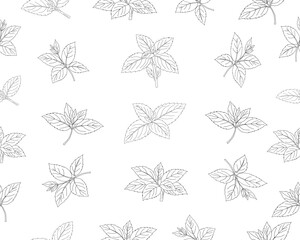Mint leaves seamless pattern. Herbal mint foliage background. Fresh mint botanical repeat pattern. Aromatic herb leaves texture. Green culinary ingredient pattern. Natural herbal foliage wallpaper. © Ani