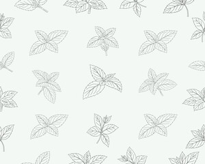 Mint leaves seamless pattern. Herbal mint foliage background. Fresh mint botanical repeat pattern. Aromatic herb leaves texture. Green culinary ingredient pattern. Natural herbal foliage wallpaper. © Ani