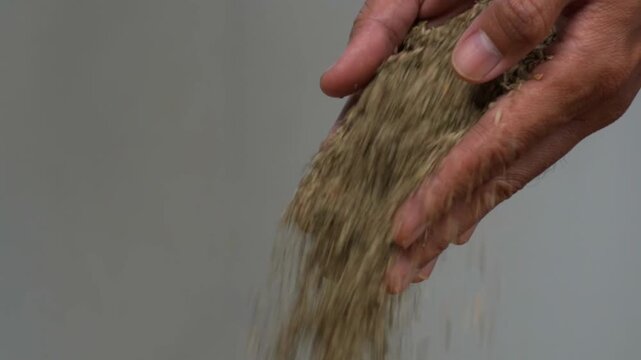 Dried oregano seasoning being poured from cupped hands a close up shot of culinary action
