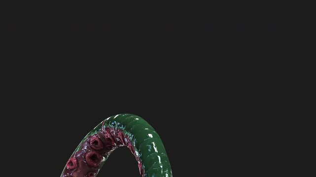 3D Illustration of Monstrous deep-sea tentacle featuring sharp teeth, pink suckers, and slimy green skin. Ideal for horror and sci-fi projects.