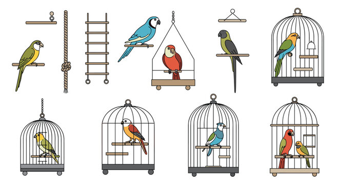 Various colorful parrot species are shown in different cage styles and perching positions for pet care illustration.