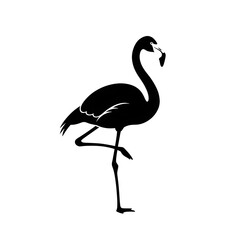 Elegant black flamingo silhouette standing on one leg, isolated on a clean white background, perfect for tropical designs and branding