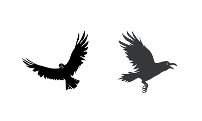 Fototapeta premium Flying bird silhouette with scattered feathers for wildlife, freedom and dramatic sky concepts.