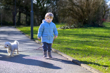 Fototapeta premium Toddler walking dog sunny park