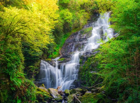 Torc Waterfall flowing over moss covered rocks surrounded by lush green forest in Killarney National Park County Kerry Ireland.