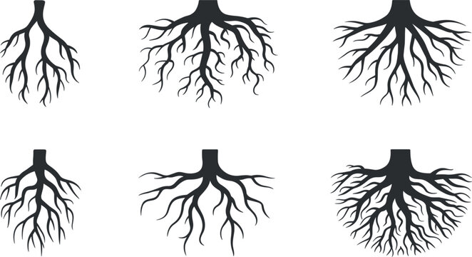 Tree root vector silhouette set featuring various organic underground branching systems, isolated on plain white background