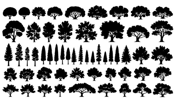 Forest tree silhouettes vector set different tree shapes and sizes isolated on white background