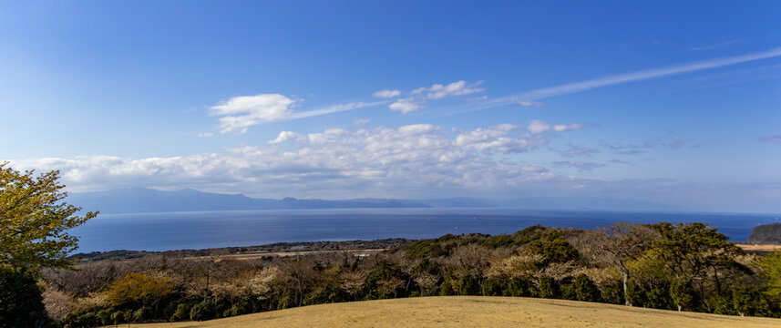 日本周遊　伊豆大島椿祭り観光