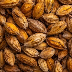 Fototapeta premium Roasted Baru Seeds Macro Background Texture