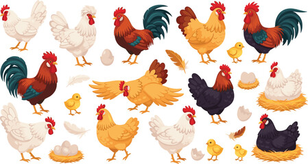 Vector set of diverse farm chickens including roosters, hens, and chicks in various poses, nesting with eggs, and feathers isolated on white background. © MdSaddam