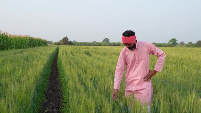 Young indian farmer standing at wheat agriculture field	