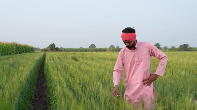 Young indian farmer standing at wheat agriculture field	