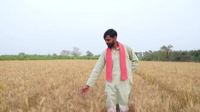 Young Indian farmer standing at wheat agriculture field 