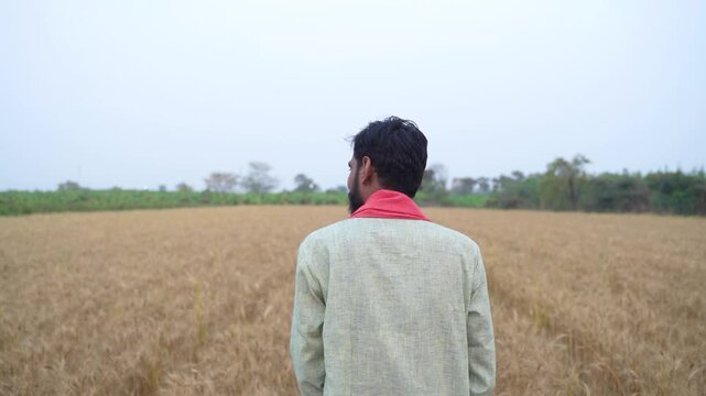 Young Indian farmer standing at wheat agriculture field 