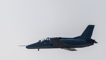 Military jet aircraft flying against a clear sky during an aerial aviation display
