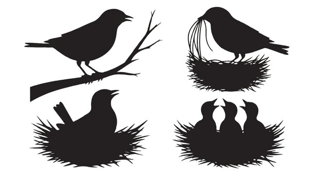 silhouette of birds on nests and tree branch