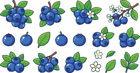 Blueberry fruit vector illustration set with fresh blueberries, leaves and blossoms isolated healthy berry collection © MdMostafijur