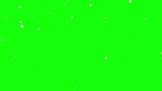 Pink cherry blossom petals falling from top animation on green screen for overlay.