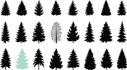 Various silhouettes of trees including coniferous and deciduous types with one green shaded tree in the foreground © Hey Tahera