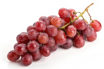 Ripe red grapes cluster on a vine