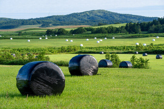 Grassland landscape with silage bales in Wakkanai, Hokkaido, Japan