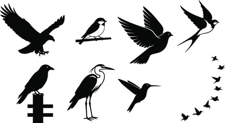 Obraz premium Bird silhouette collection featuring eagle, swallow, hummingbird, crow, heron and flying bird flock icons isolated black vector set for wildlife, nature and tattoo design