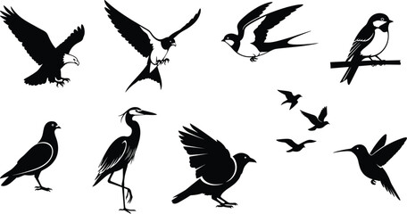 Obraz premium Collection of bird silhouettes including eagle swallow pigeon heron crow hummingbird and flying birds isolated on white background wildlife vector illustration set for design