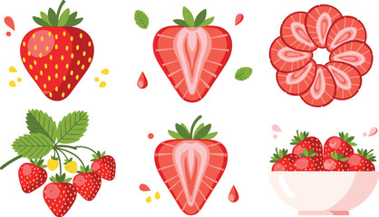 Fresh strawberry fruit set with whole strawberries slices strawberry flower berry plant leaves and bowl of strawberries flat vector illustration © MstBabli