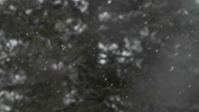 Snowflakes fall constantly during the harsh Canadian winter. Close up shot.