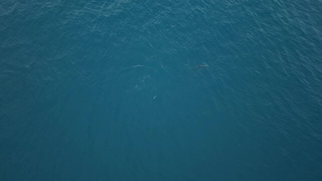 Vast ocean view near Ecuador, known for marine life and kitesurfing