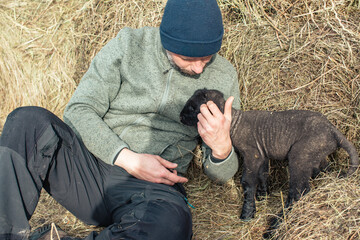 Man Cuddles Black Lamb in Hay © giorgiomtb