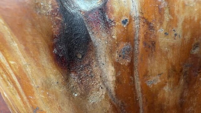 4k footage Warm wood grain shows deep, natural wear. Dark patches hint at age and use. Texture invites tactile exploration. Suitable for rustic, vintage, or organic design themes