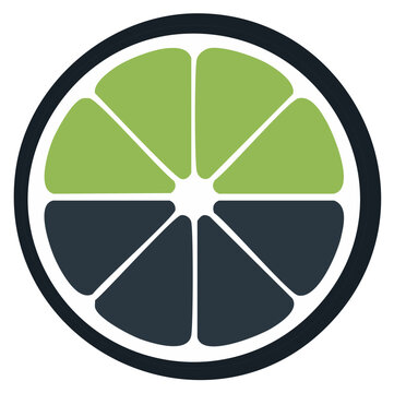 Abstract stylized citrus fruit slice illustration in green and dark gray colors