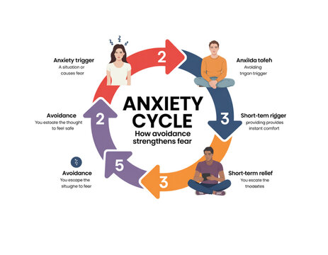 Anxiety cycle infographic on transparent background, illustrating how avoidance strengthens fear