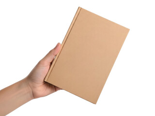 Obraz premium A hand holding a brown kraft paper envelope against a plain background