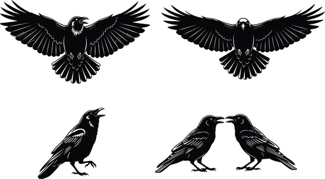 Black crow silhouettes set showing flying standing and calling ravens isolated vector illustration for wildlife design tattoo logo nature art