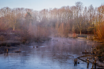 Fototapeta premium Der Morgen atmet noch den kühlen Schlaf des Winters, während über dem Wasser ein zarter Schleier aus flüssigem Silber tanzt. Die Bäume am Ufer, in ihr rötliches Vorfrühlings-Gewand gehüllt, stehen wie