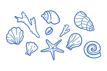 Obraz premium Different seashells in line style. Hand drawn vector illustration for beach graphics, ocean concepts, summer branding.